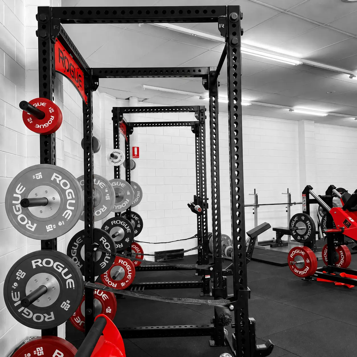 Rogue racks and calibrated plates at Team Prime Gym